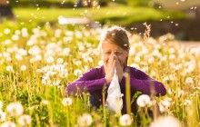 Eine Allergie kann jeden treffen