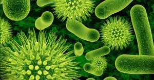 bakterienbefall