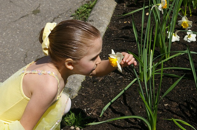 Heuschnupfen – der ständige Kampf mit den Pollen