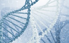 Forscher entdecken uralte DNA