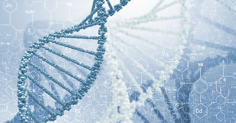 Die DNA verrät die Lebenserwartung