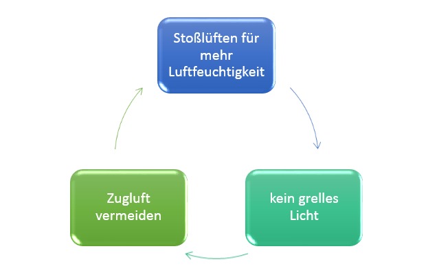 Raumbedingungen_-_Kontaktlinsen