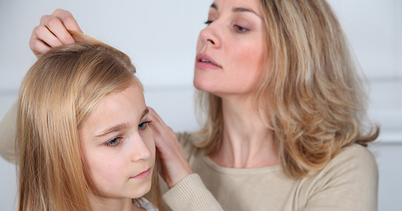Kopfläuse – lästige Plagegeister auf Kinderköpfen
