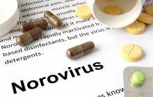 Noroviren – hochansteckend, hartnäckig und gefährlich