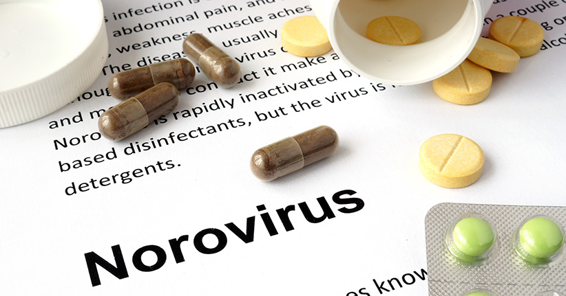 Noroviren - So schützen Sie sich vor dem Norwalk-Virus