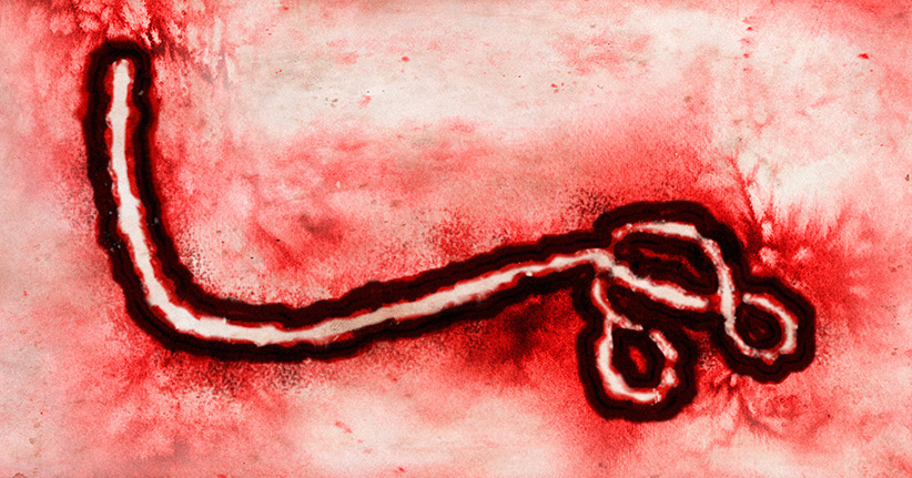 WHO verzeichnet zwei neue Ebola-Fälle in Guinea