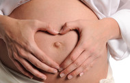 Die 7. SSW – aus dem Zell-Cluster wird ein Embryo