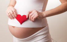 Die 8. SSW – das Baby bekommt Konturen