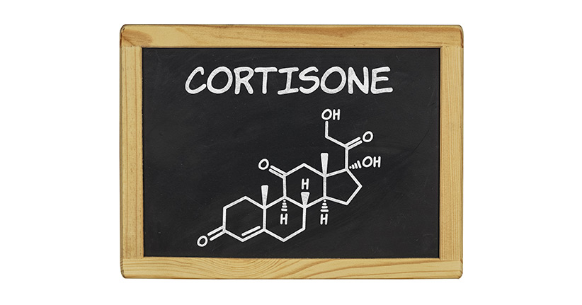 Typische Nebenwirkungen von Cortison