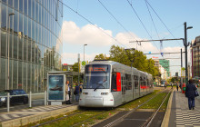 Fördert die Stadtluft Diabetes?