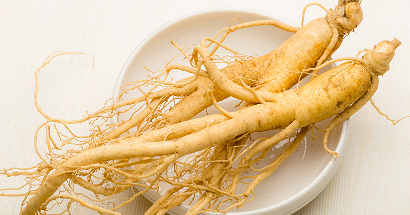 Ginseng - eine Wohltat für Körper und Geist