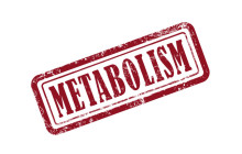 Metabolisches Syndrom - eine Kombination aus vielen Risiken