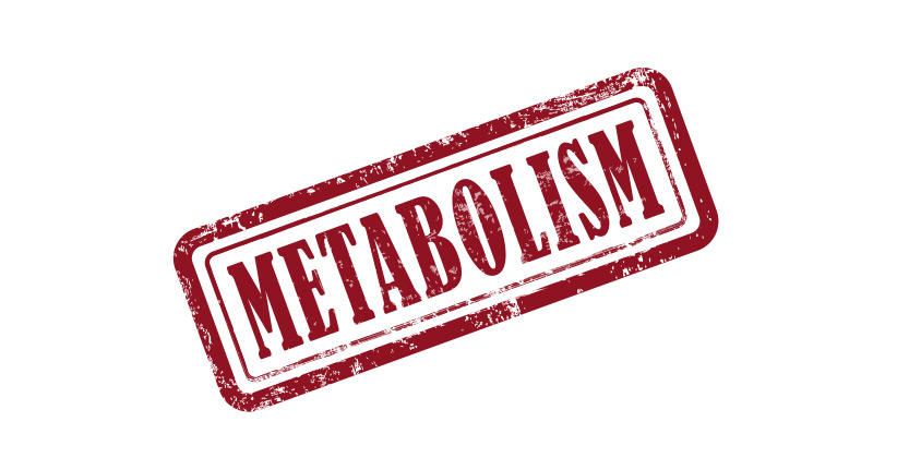 Metabolisches Syndrom - eine Kombination aus vielen Risiken