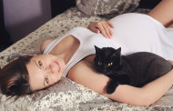 Wie gefährlich ist Toxoplasmose in der Schwangerschaft?