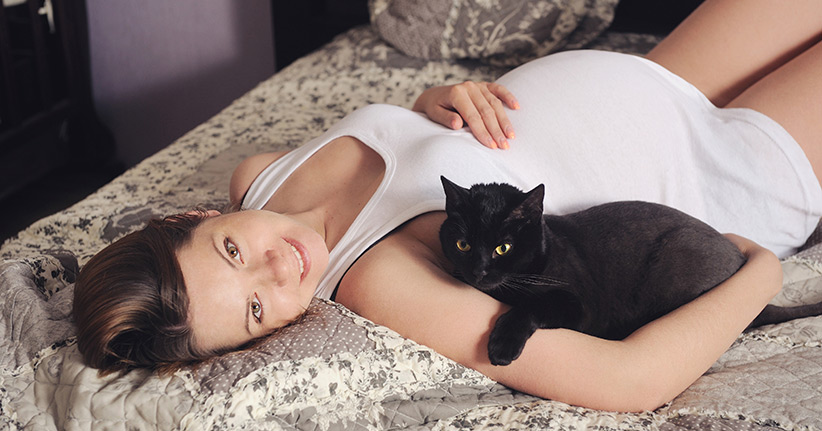 Wie gefährlich ist Toxoplasmose in der Schwangerschaft?