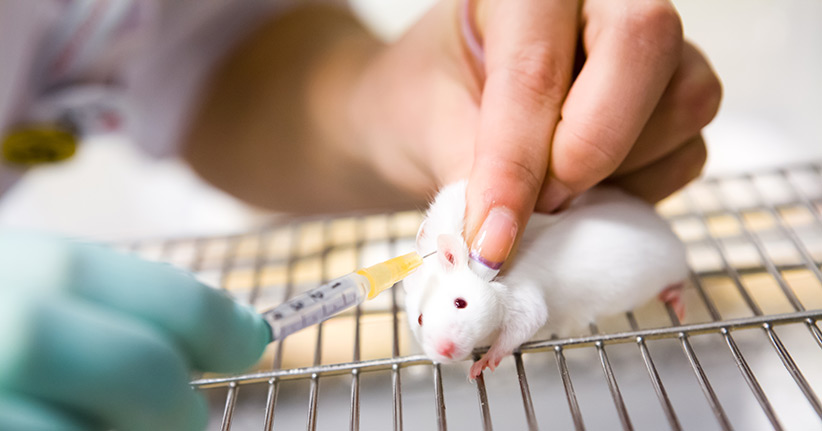 Warum es auch weiterhin Tierversuche geben wird