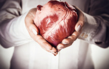 Der Organspendeausweis – das häufig missverstandene „Mitbringsel“