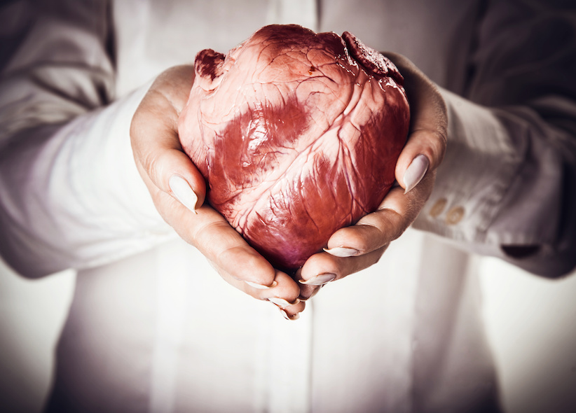Der Organspendeausweis – das häufig missverstandene „Mitbringsel“
