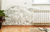 Die ideale Luftfeuchtigkeit in Wohnräumen