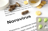 Norovirus - erste Anzeichen erkennen und handeln
