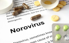 Norovirus - erste Anzeichen erkennen und handeln