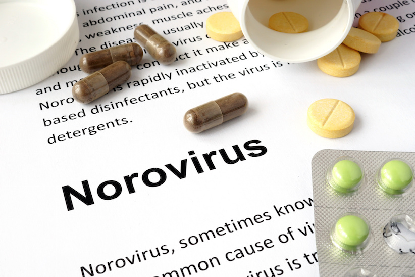 Norovirus - erste Anzeichen erkennen und handeln