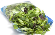Gefährdung durch Salat aus Plastikbeutel -  Bakterien zbsp. Salmonellen