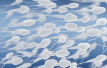 Sperma für die Gesundheit? Veganerin Tracy Kiss verspricht es