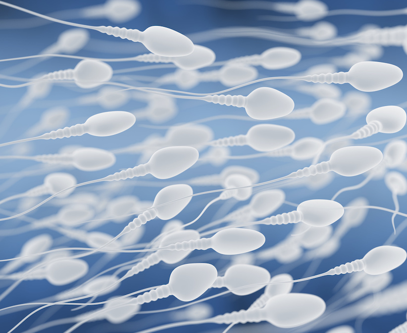 Sperma für die Gesundheit? Veganerin Tracy Kiss verspricht es