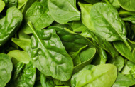 Spinat - Ernährung zum Muskelaufbau Mythos aufgedeckt