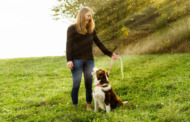 Hunde fördern die Gesundheit ihrer Besitzer