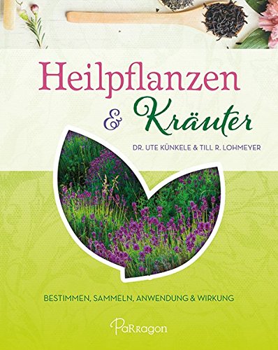 Heilpflanzen & Kräuter: Bestimmen, Sammeln, Anwendung und Wirkung