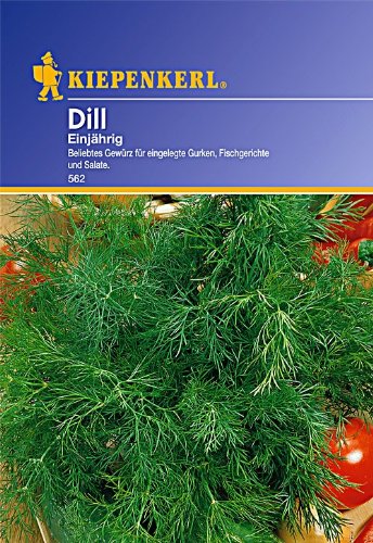 Dill