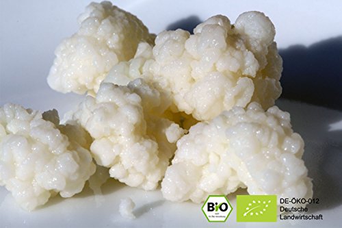 Bio Kefir/ Milchkefir Getränk mit Kefirknollen für (1 Liter Kefir-Getränk)