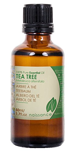 Teebaumöl - 100% naturreines ätherisches Öl - 50ml