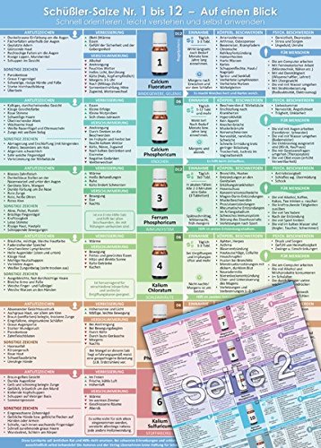 Schüßler-Salze Nr.1 bis 12 - Auf einen Blick (2017) - Schnell orientieren, leicht verstehen und selbst anwenden (DINA4, hochwertig laminiert)