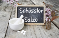 Schüssler Salze günstig