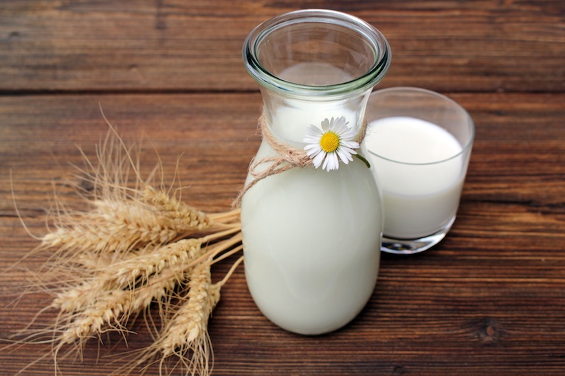 Kuhmilch Mythen Milch Fünf Aussagen Behauptungen