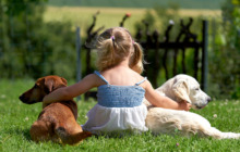 Fördern Haustiere tatsächlich die Gesundheit bei Kindern?