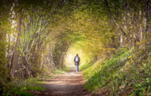 So gesundheitsfördernd ist ein Waldspaziergang wirklich