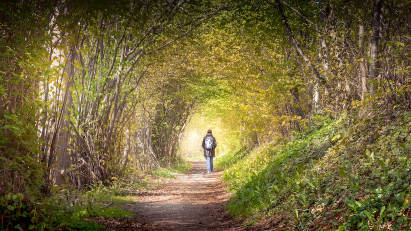 So gesundheitsfördernd ist ein Waldspaziergang wirklich