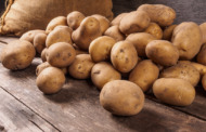 Kartoffeln - besser als ihr Ruf